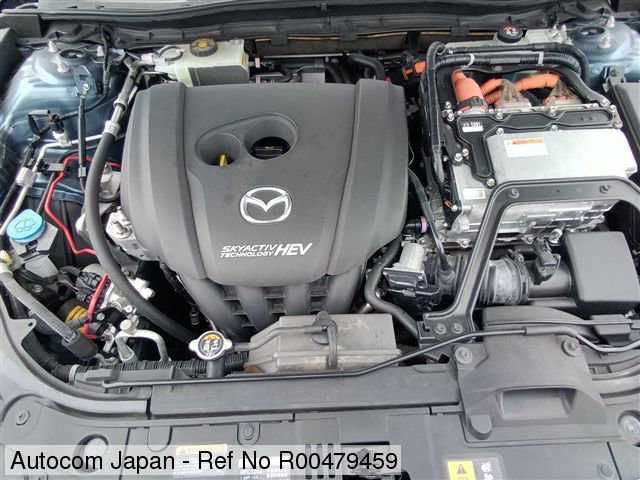 image 4