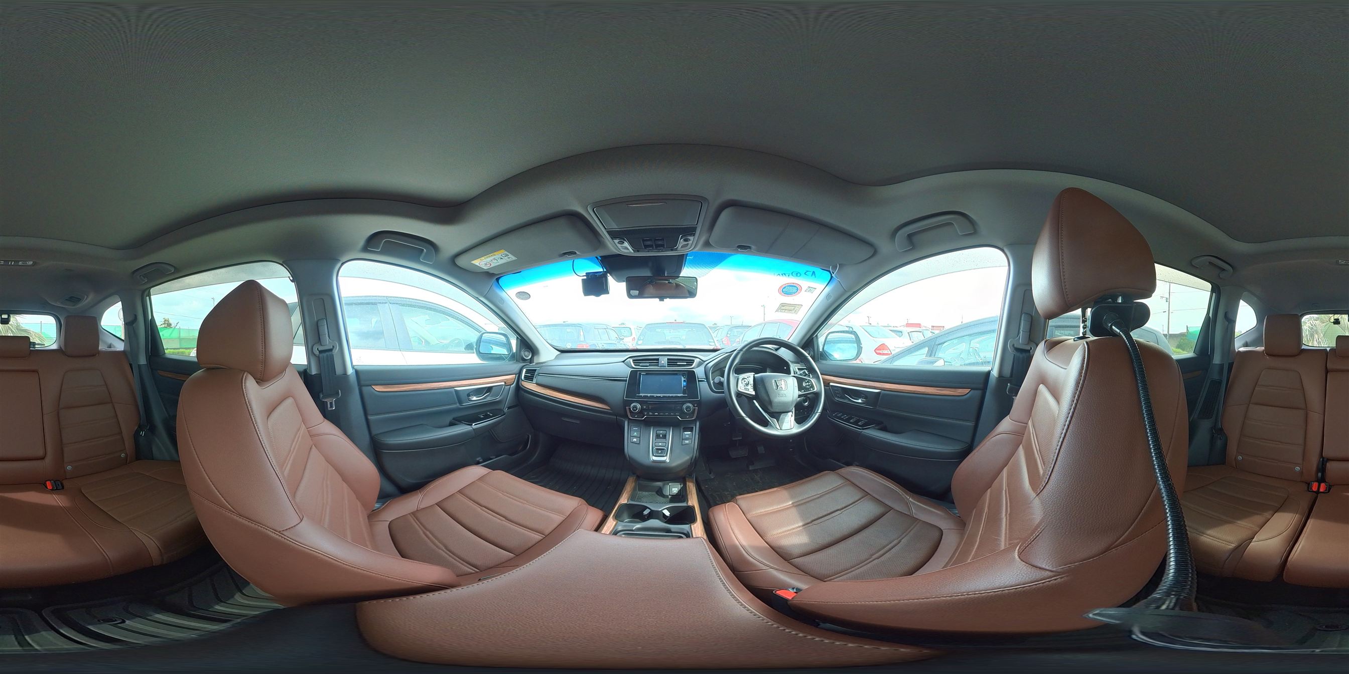 360 view