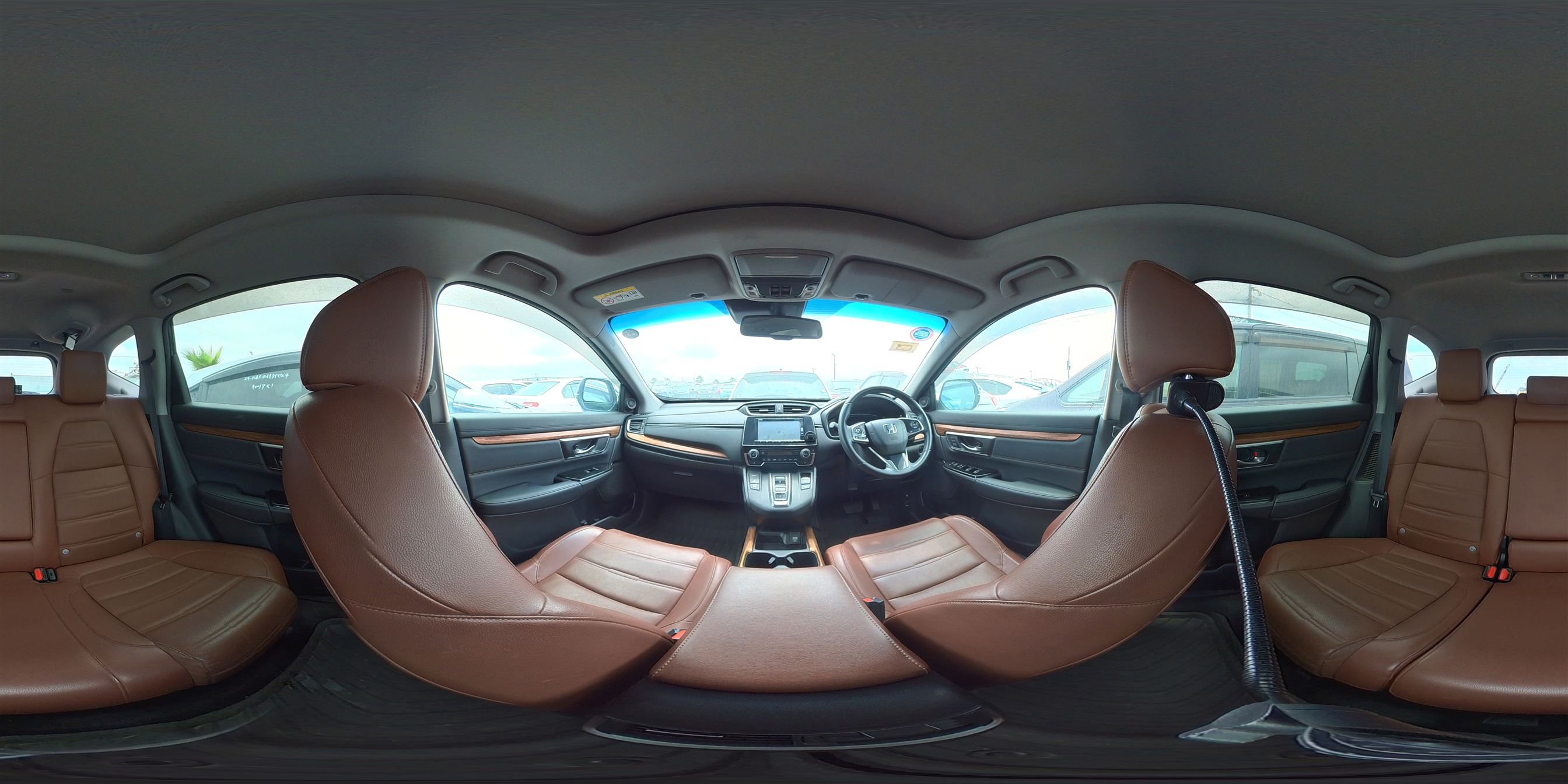 360 view