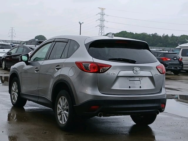 image 4