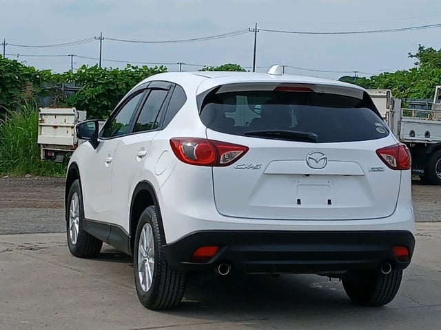 image 4